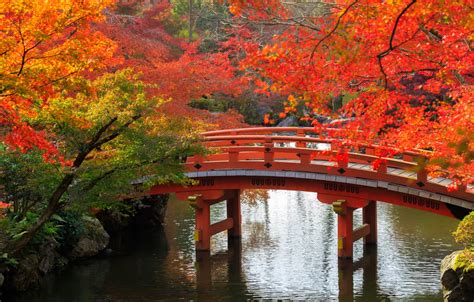 Wallpaper autumn, trees, bridge, pond, Park, stones, Japan, Kyoto ...