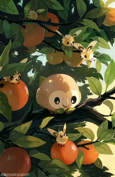 Pokemon Rowlet Wallpapers - Top Free Pokemon Rowlet Backgrounds ...