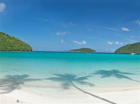 Maho Bay - St John Beach Guide | St John Beach Guide