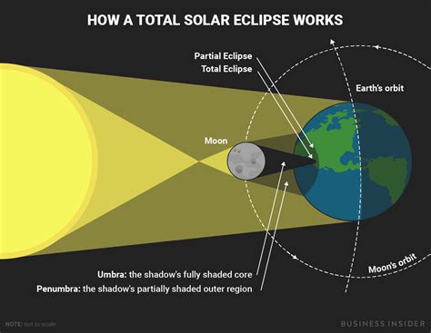 Solar eclipse 2017 diagram - Business Insider