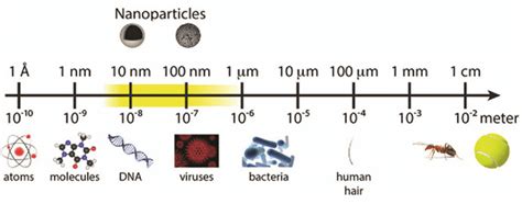 1 Comparison of different sizes of materials with nanoscale dimension ...