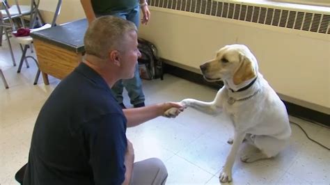 Inmates and officers work together in 'Puppies Behind Bars' program to ...