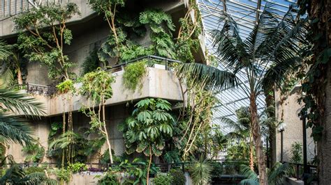 Episode 217: the Barbican Conservatory — Jane Perrone