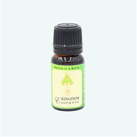 Mugwort Essential Oil (Artemisia Vulgaris) - Buy Online - Made in Bhutan