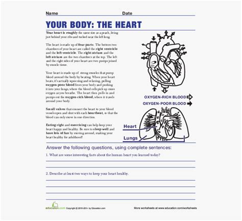 Life Science Worksheets High School, HD Png Download , Transparent Png ...