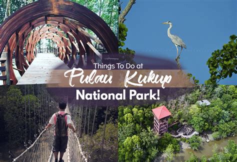 Explore and Have Fun at Pulau Kukup National Park - JOHOR NOW