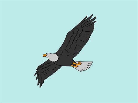 How to Draw a Bald Eagle: 6 Steps (with Pictures) - wikiHow