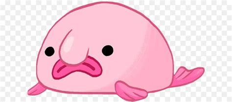 Blobfish Animal Drawing Cartoon YouTube - blobfish png download ... png ...