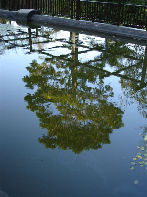 A Brief History of Durban's Botanic Gardens