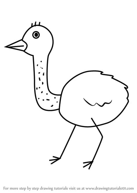 How to Draw an Emu for Kids (Animals for Kids) Step by Step ...