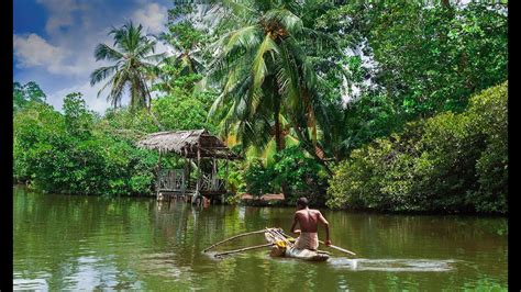 Bentota River Safari ,bentota beach Sri Lanka - YouTube