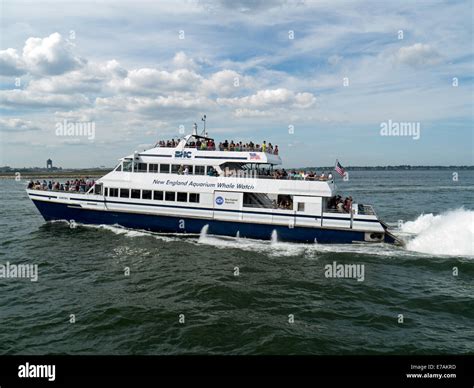 New England Aquarium Whale Watching boat Boston Harbor, Boston ...