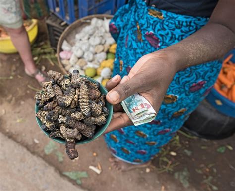 9 Traditional Foods You Must Eat While You're in Zambia