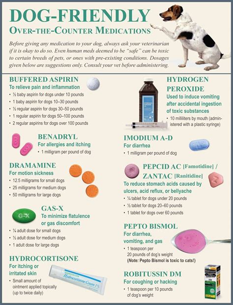 Allergy Relief For Dogs - Excellent Article About Dogs That Is Simple ...