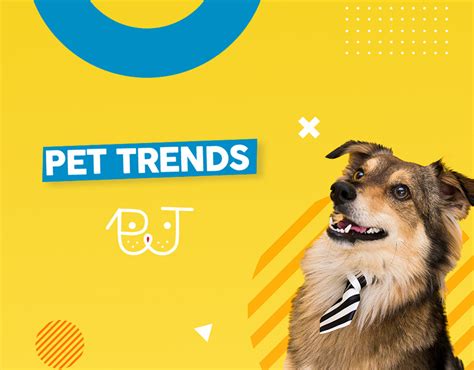 Pet Trends - Marketing on Behance