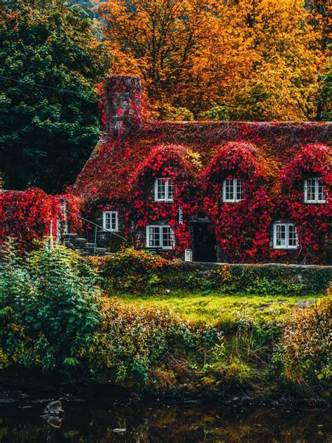 House Covered by Trees Wallpaper 4K, Autumn trees, Bridge