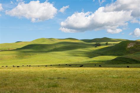 Best Place to Buy A Ranch in California - Land Investment Blog