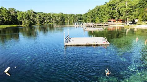 Best Natural Springs In Florida - Wakulla Springs State Park Tour ...