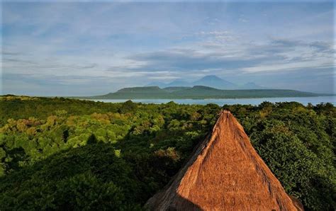 Yuk Nikmati Pesona Taman Nasional Bali Barat dengan Keunikan Flora dan ...