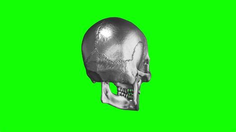 [4K] Rotating Skull - Green Screen - YouTube