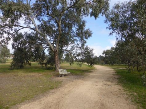 Moonee Ponds Creek Trail - Westmeadows | Pond creek, Trail, Pond