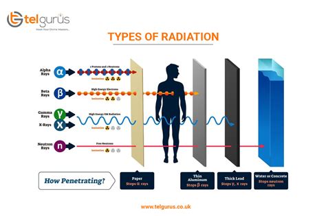 What is the difference between alpha and gamma radiation?