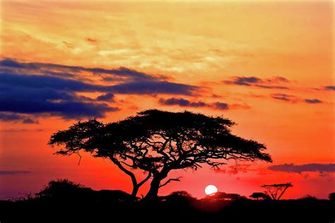 Serengeti Sunset Photograph by Linda Groom - Fine Art America