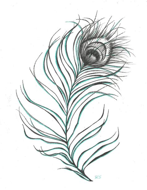 Peacock Feather Drawing | Wallpapers Gallery