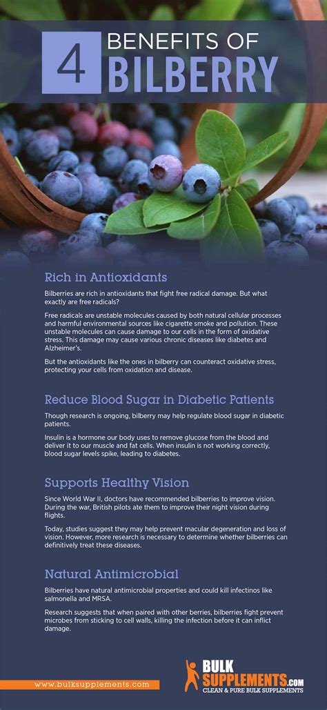 Bilberry Benefits, Side Effects and Dosage