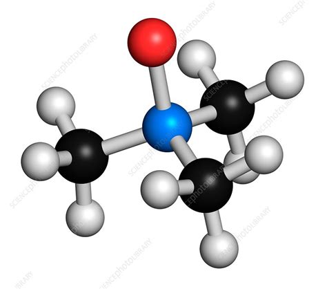 Trimethylamine molecule, illustration - Stock Image - F015/9683 ...