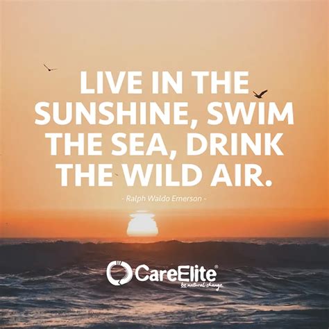 Summer Quotes: 40 Sayings About Sunshine – CareElite