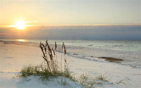 Living in Longboat Key: Things to Do and See in Longboat Key, Florida ...