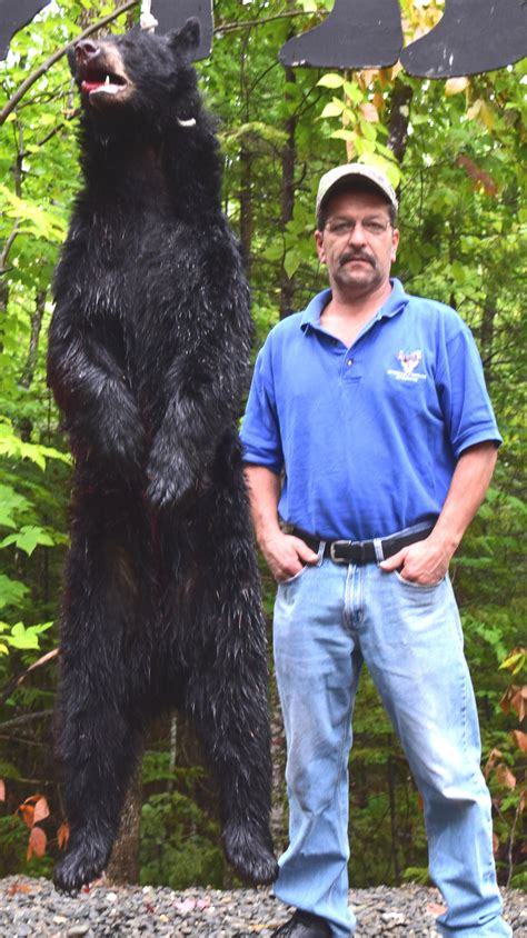 bear-hunt-17206 – Foggy Mountain Guide Service