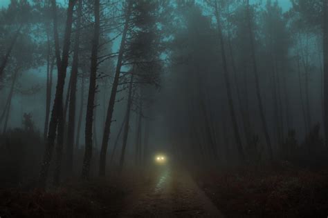 Headlights Cut Through Dense Fog in Moody Images of Cars at Night by ...