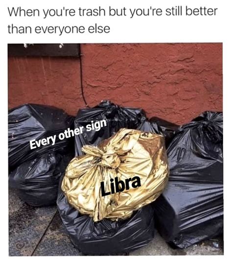 21 Funny Libra Memes That Will Make You Say, "OMG Me"