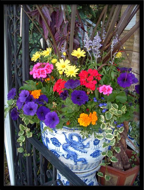 Container Gardens - Container Gardening Photo (22146334) - Fanpop