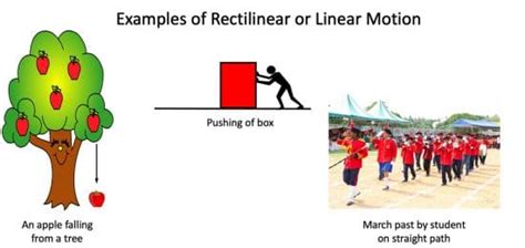 Types of Motion in Physics with Examples » Selftution