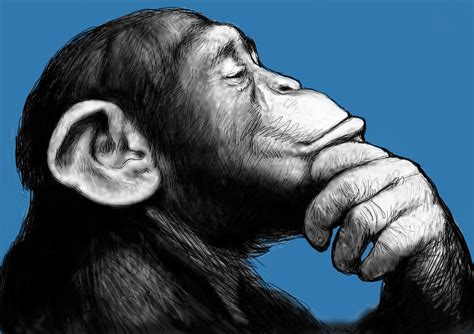 Monkey Pop Art Drawing Sketch Painting by Kim Wang