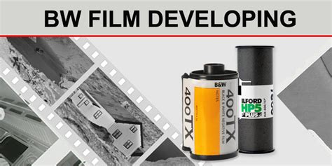 Sale > film developing and printing > in stock