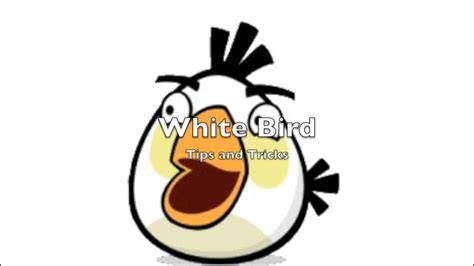 White Bird Angry Birds