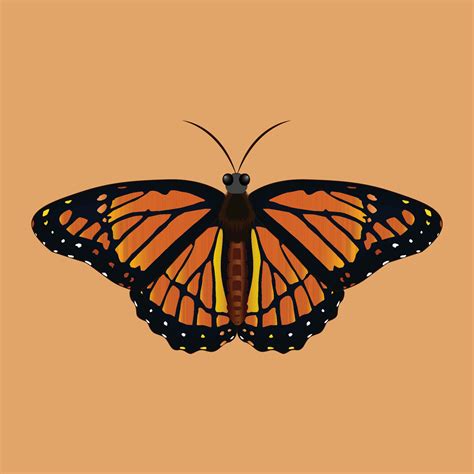 Brown Butterfly Wallpapers - Wallpaper Cave