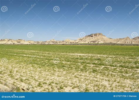 Semi-desert landscape stock photo. Image of agriculture - 27571726