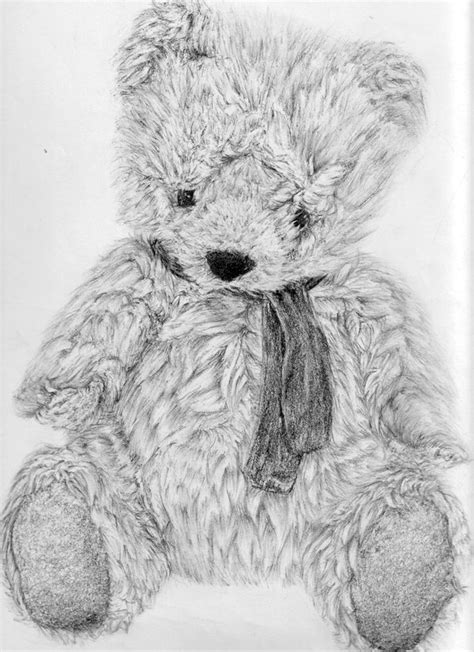 10+ Lovely Teddy Bear Drawings for Inspiration 2022