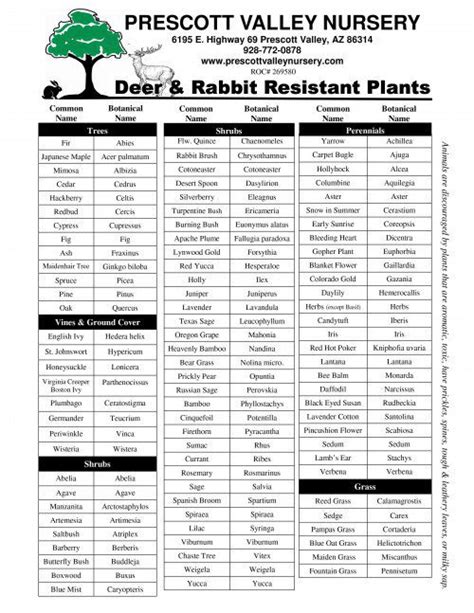 Deer & Rabbit Resistant Plants | Prescott Valley Nursery