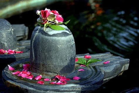 The significance of a Shiva Linga - Narmadeshwar Shivling