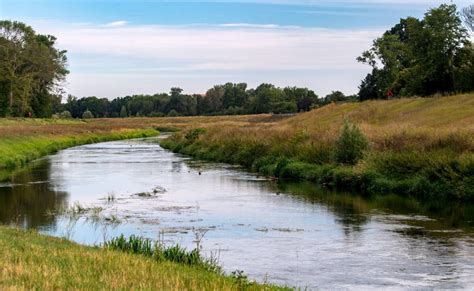 Targeted Ecosystem Restoration Can Protect Climate, Biodiversity ...