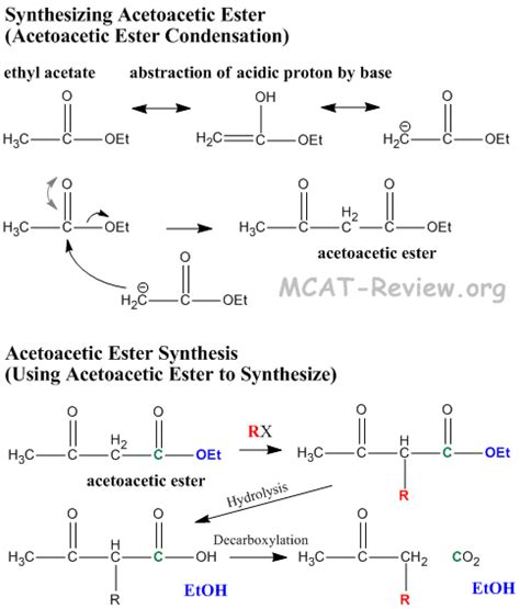 Keto Acids and Esters - Oxygen Containing Compounds - MCAT Review