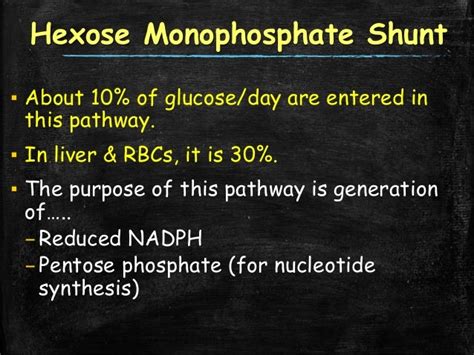 Hexose Monophosphate Shunt