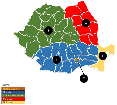 Publications | Free Full-Text | Language Preferences in Romanian ...