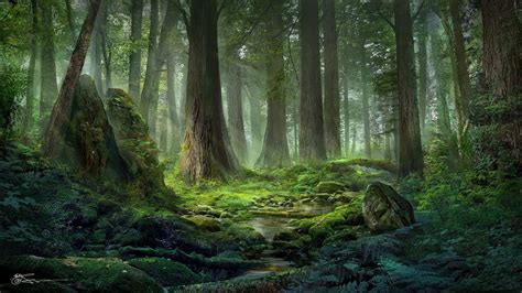 Light of Forest, jeremy chong | Fantasy landscape, Fantasy art ...